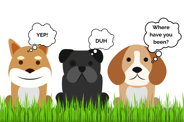 Video is KING - even these cute doggies agree that video marketing strategy is everything!